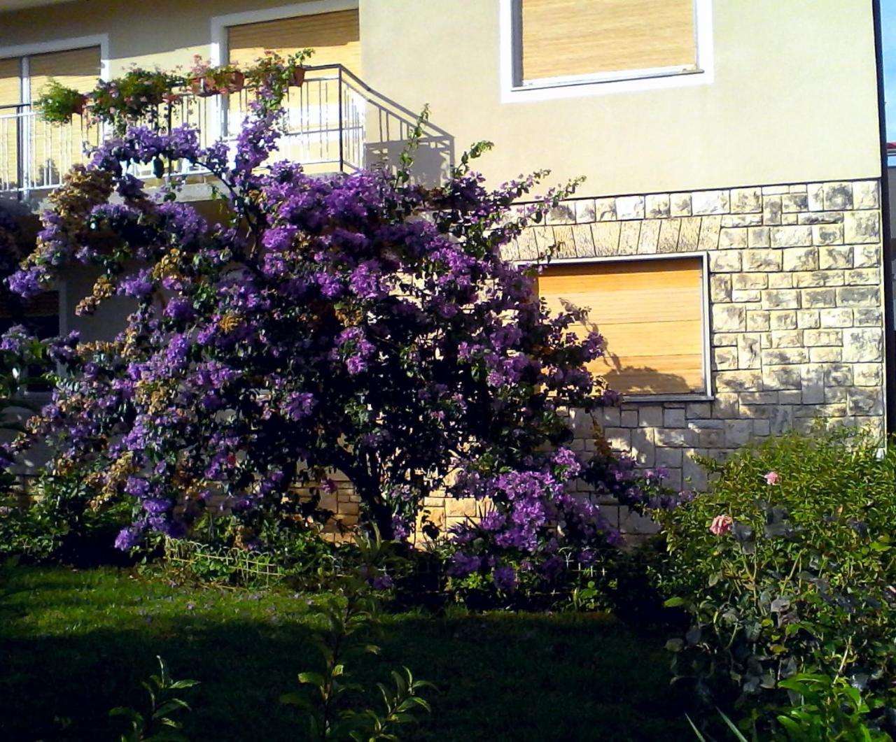 Lovely Apartment In Pomer Kültér fotó